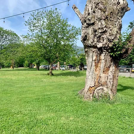 Dodo - Borgo Di Filetto Casa de hóspedes 3*